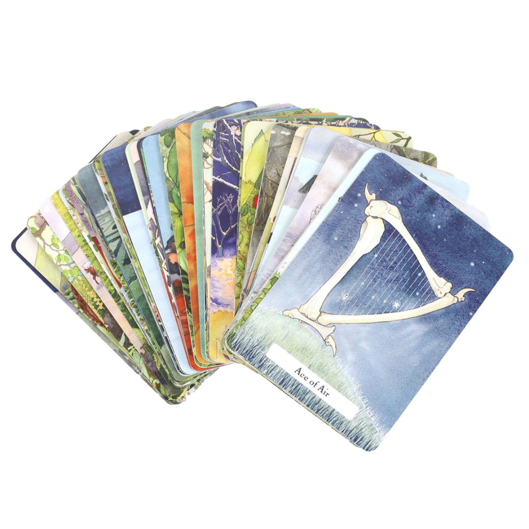 The Witches' Wisdom Tarot Cards (Standard Edition) by Phyllis Curott
