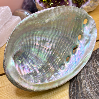 Beautiful large abalone shell, commonly used with sage smudge sticks for space and aura clearing. Most people recognise Abalone as being a shell used for smudging...however it does have its own healing qualities - good for the eyes, aids detoxing, reduces physical tension and helps build physical strength. Good for love, relaxation and letting go of emotions