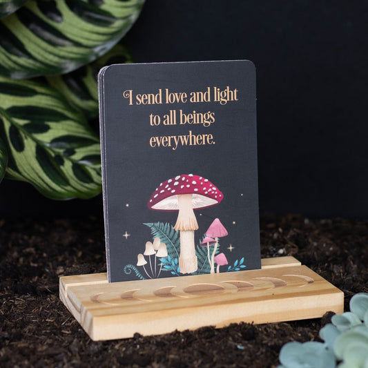Affirmation Cards with Wooden Moon Phase Stand

