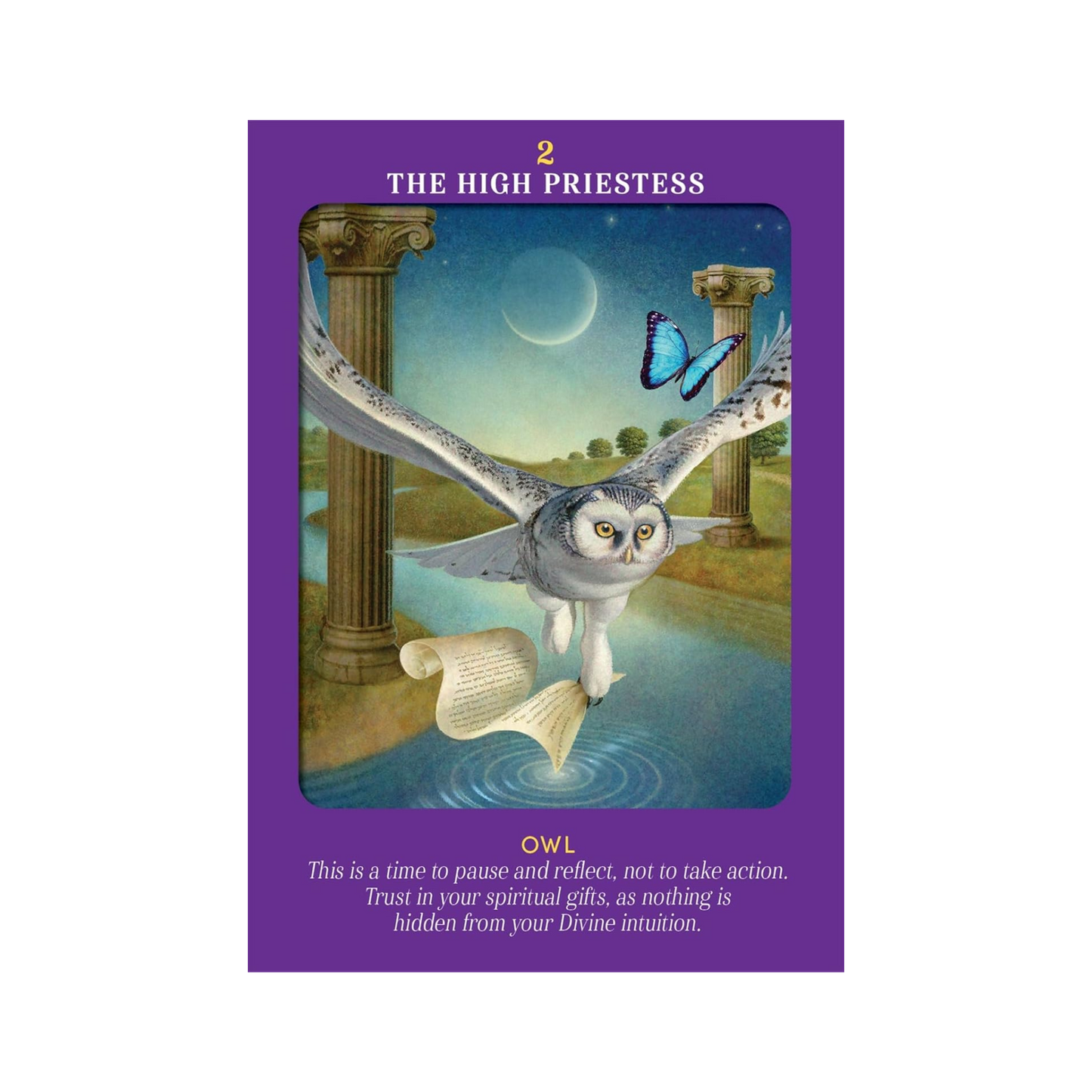 Animal Guides Tarot by Radleigh Valentine