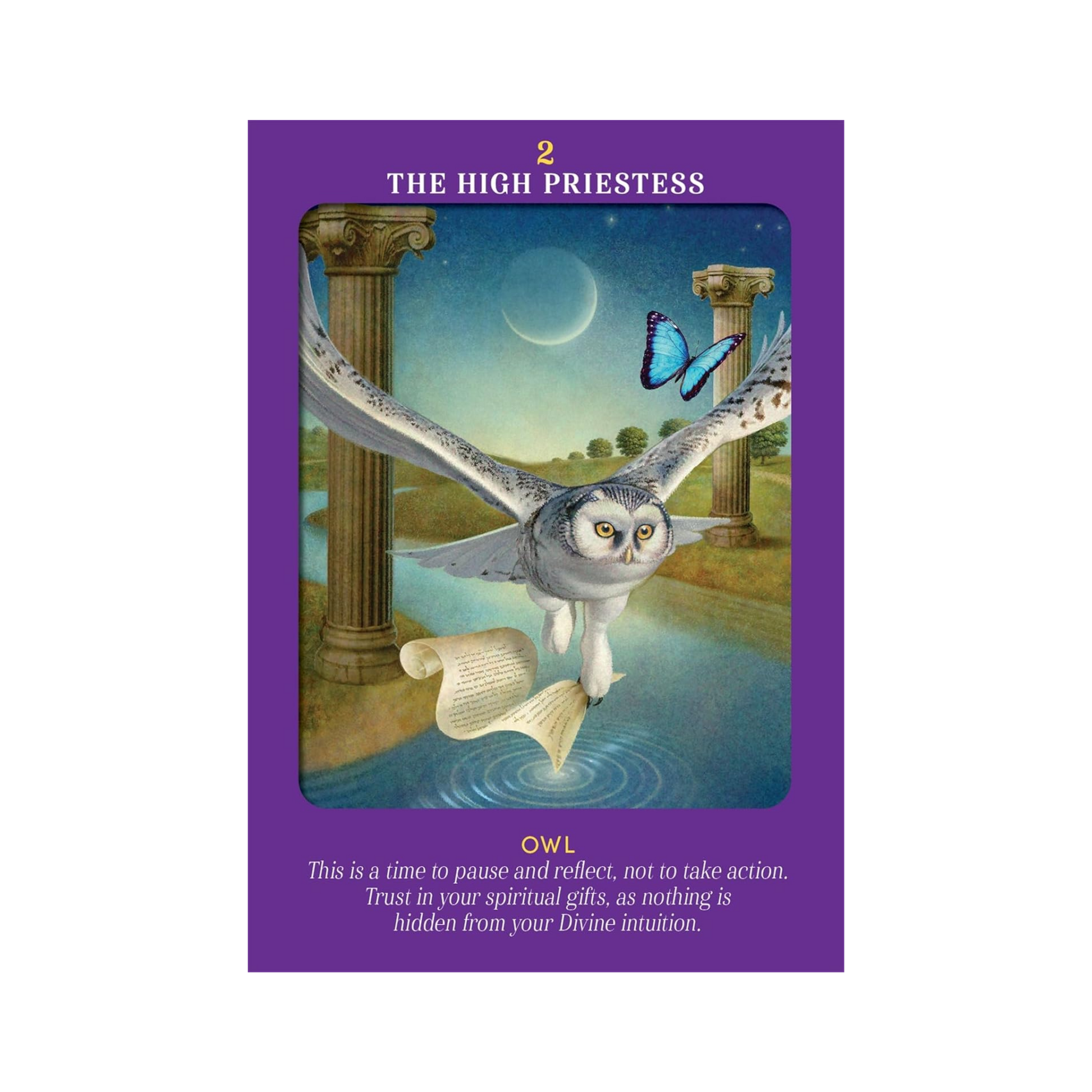 Animal Guides Tarot by Radleigh Valentine