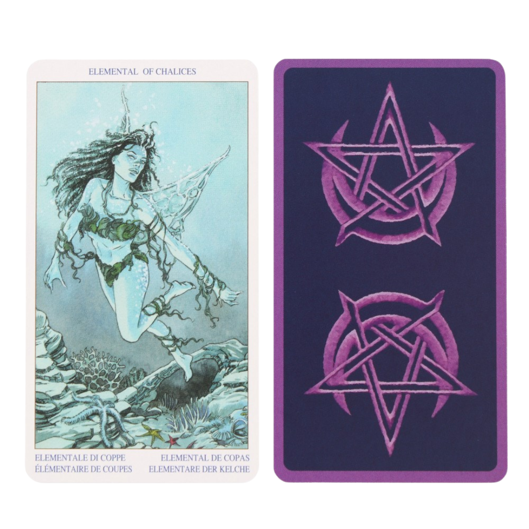Pagan Tarot by Gino M. Pace