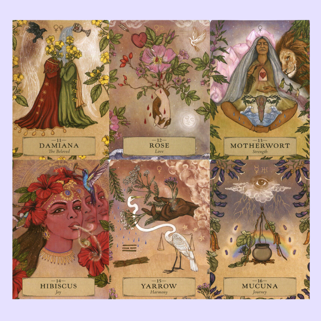 The Herbal Astrology Oracle card deck by Adriana Ayales includes a 55-card deck and 176 page guidebook. This deck opens the user to spiritual healing and guidance through the healing power of plants. Beautifully presented in a matching box