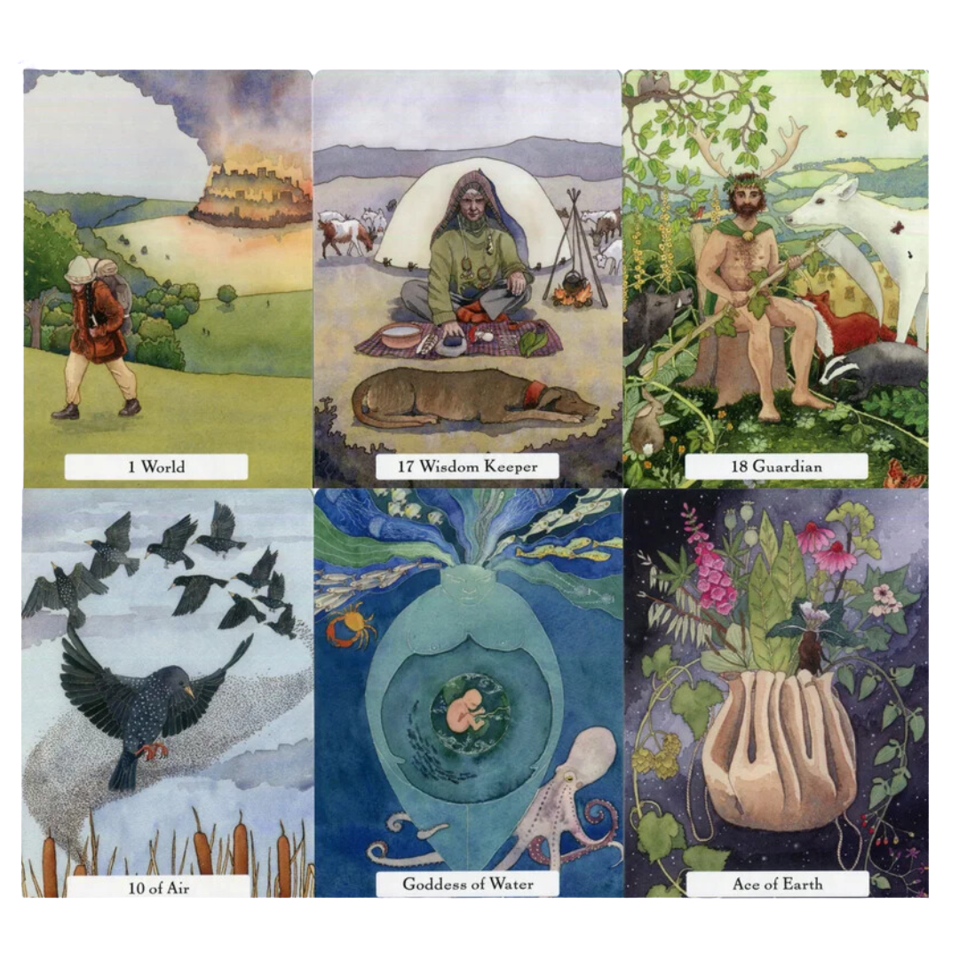 The Witches' Wisdom Tarot Cards (Standard Edition) by Phyllis Curott
