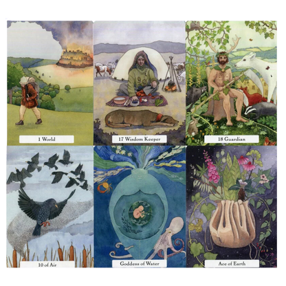 The Witches' Wisdom Tarot Cards (Standard Edition) by Phyllis Curott