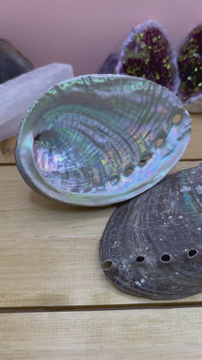 Beautiful large abalone shell, commonly used with sage smudge sticks for space and aura clearing. Most people recognise Abalone as being a shell used for smudging...however it does have its own healing qualities - good for the eyes, aids detoxing, reduces physical tension and helps build physical strength. Good for love, relaxation and letting go of emotions