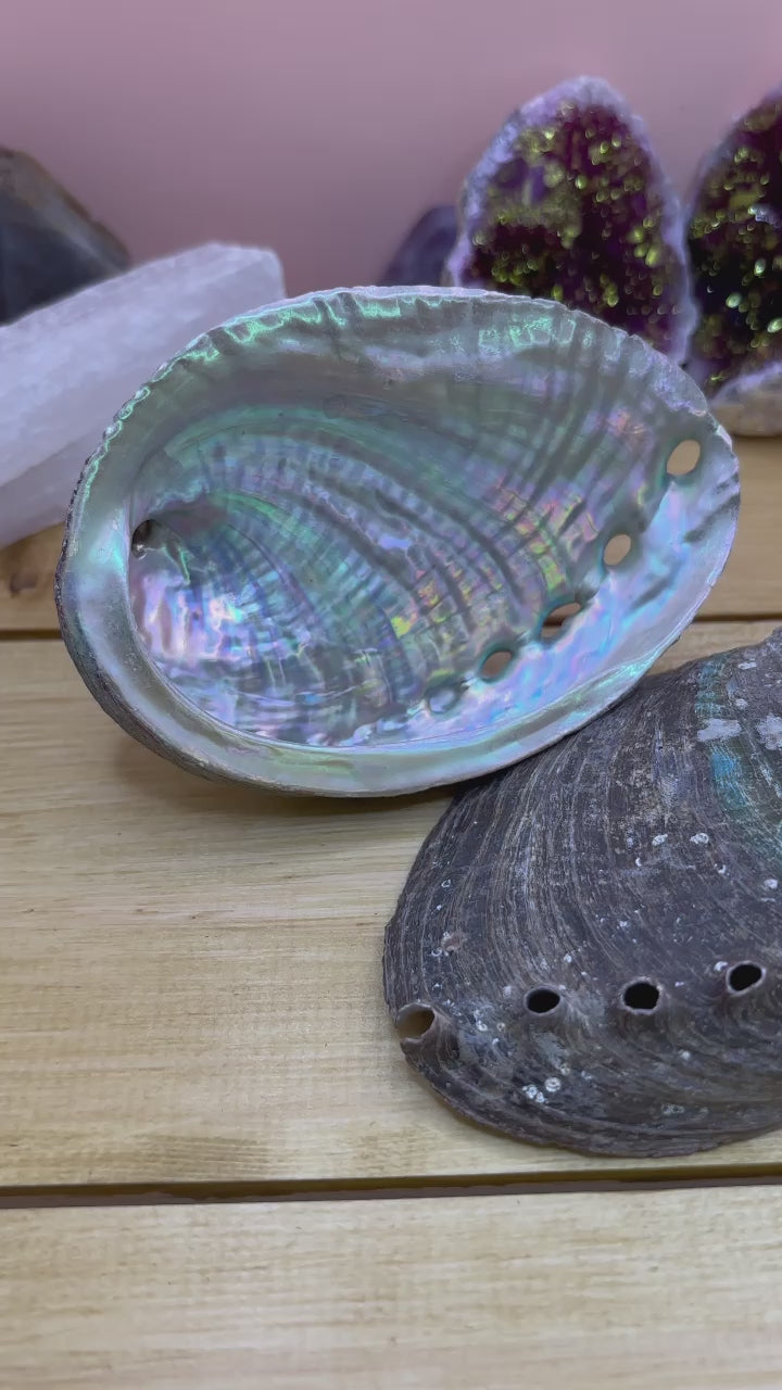 Beautiful large abalone shell, commonly used with sage smudge sticks for space and aura clearing. Most people recognise Abalone as being a shell used for smudging...however it does have its own healing qualities - good for the eyes, aids detoxing, reduces physical tension and helps build physical strength. Good for love, relaxation and letting go of emotions